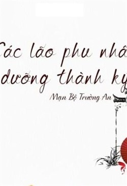 Các Lão Phu Nhân Dưỡng Thành Ký